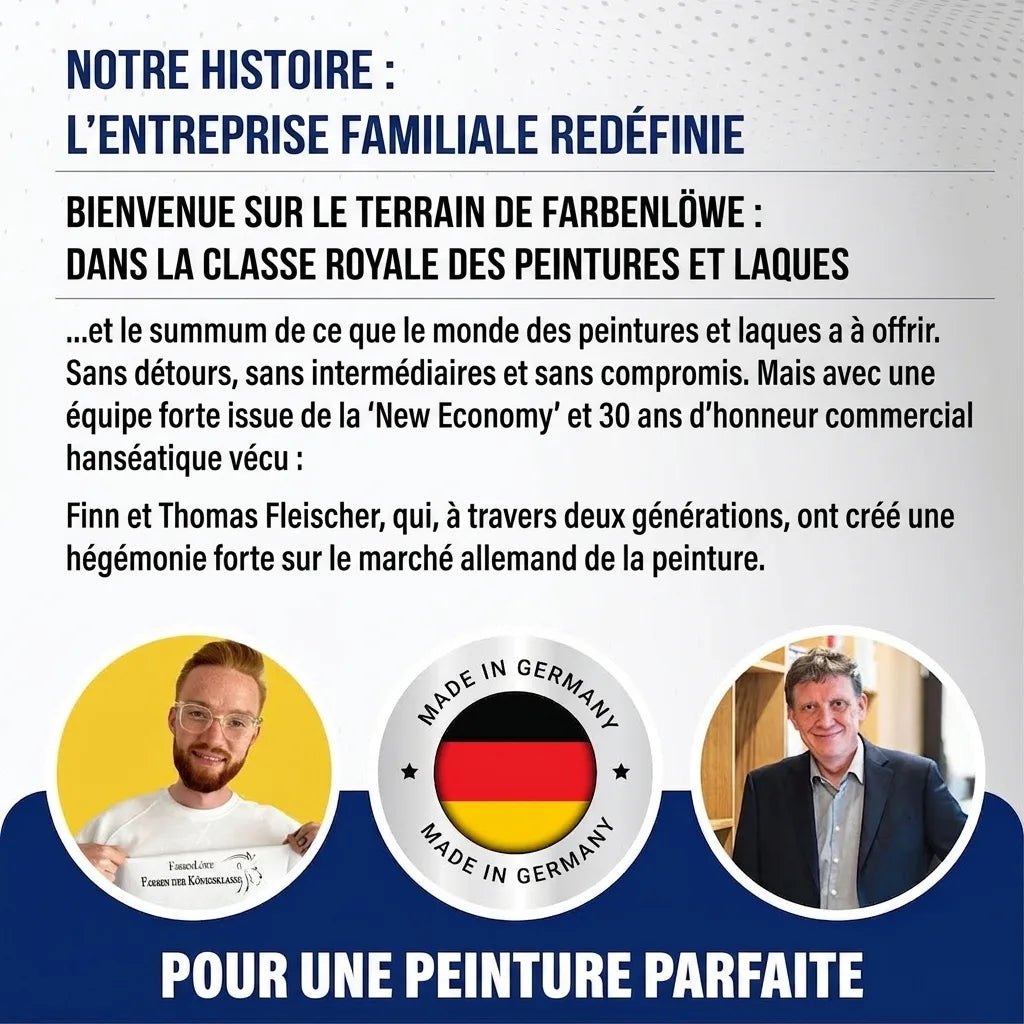 Image promotionnelle Farbenlöwe avec titres, description des services de peinture et vernis, et portraits de Finn et Thomas Fleischer.