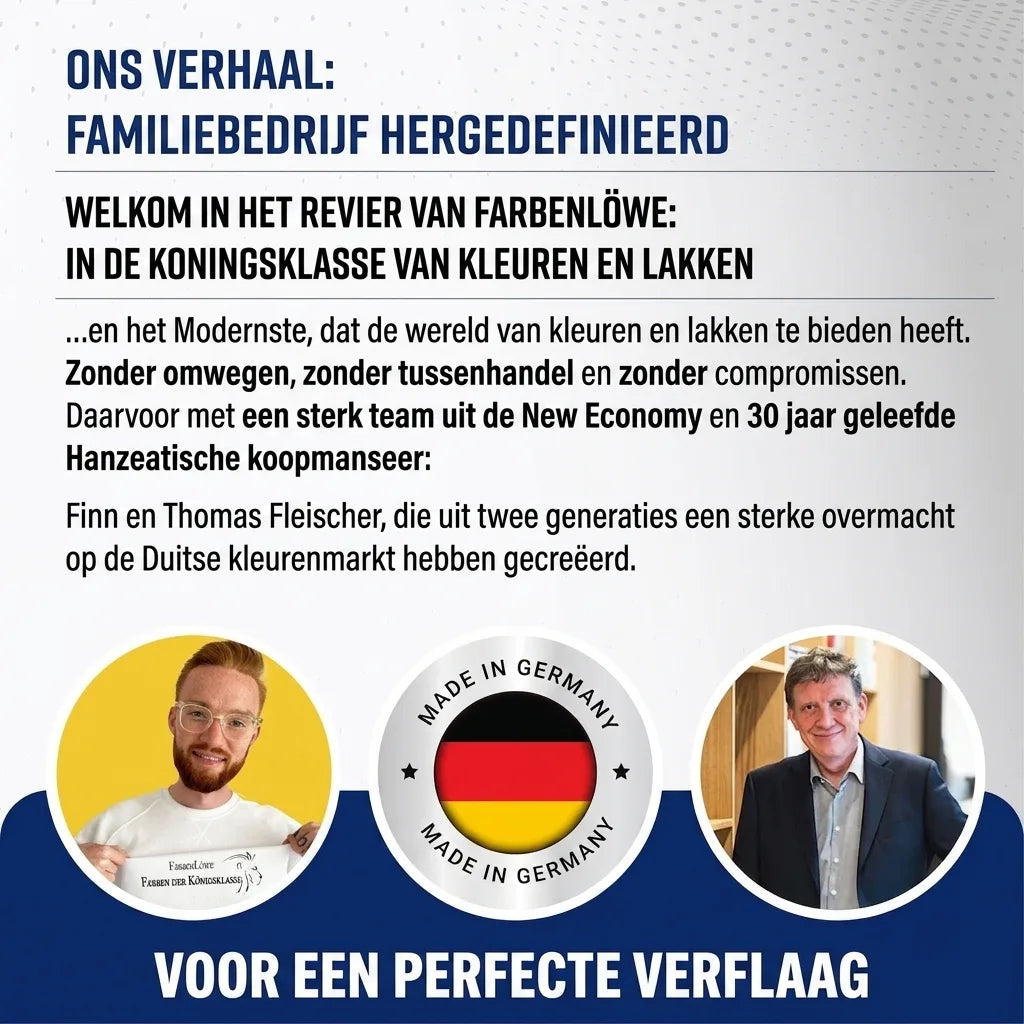 Infografiek over familiebedrijf Farbenlöwe: direct verkoop van verf, kwaliteit en oprichters Finn & Thomas.