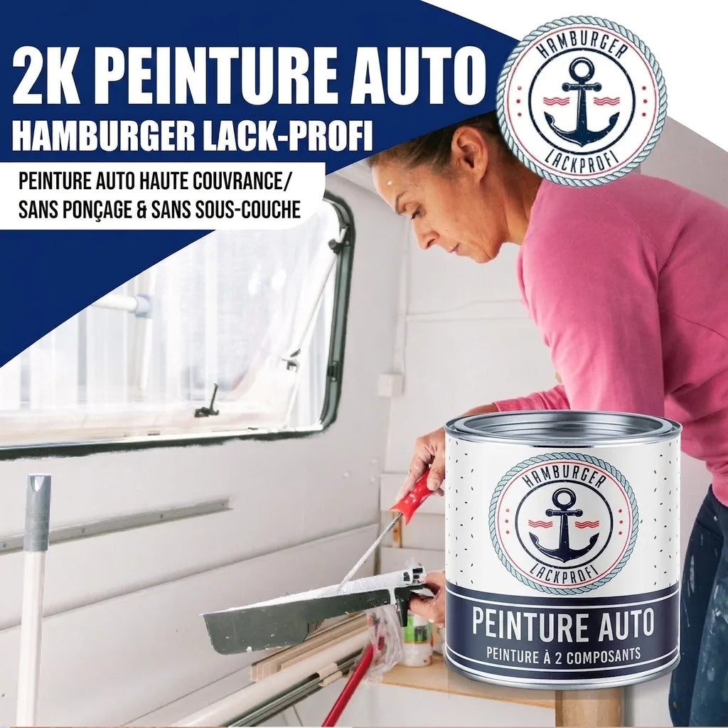 Femme peint l'intérieur d'un camping-car avec peinture auto bicomposant Hamburger Lack-Profi, sans ponçage ni apprêt.